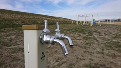 復活と思いきや