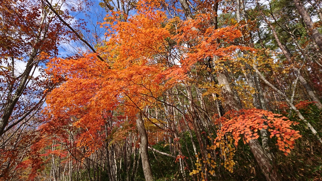 陽当たり良好