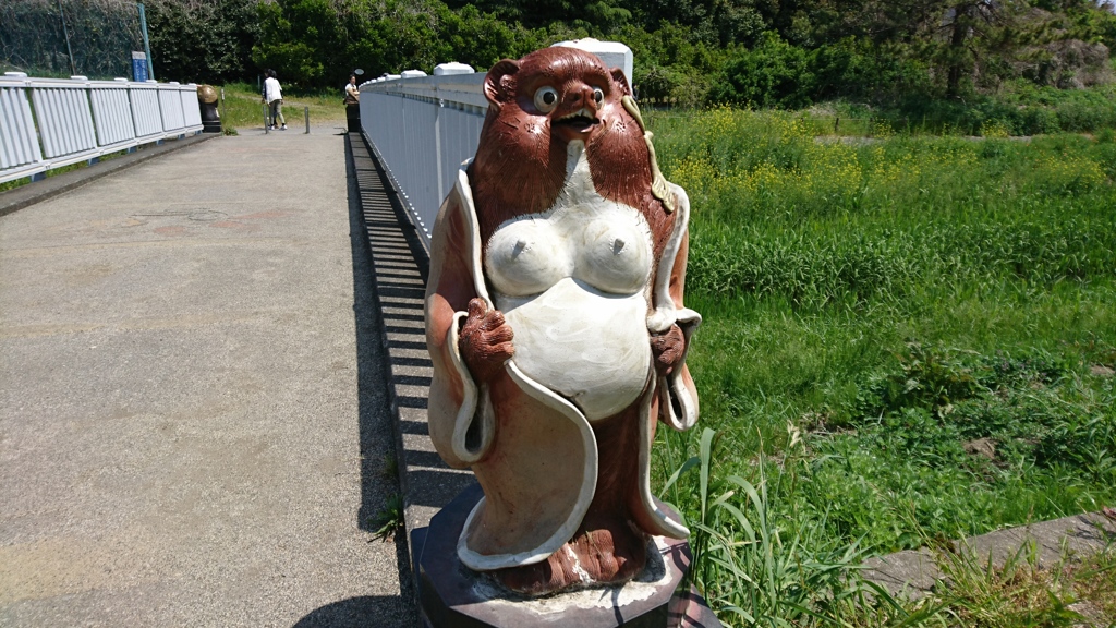 女狸