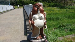 女狸