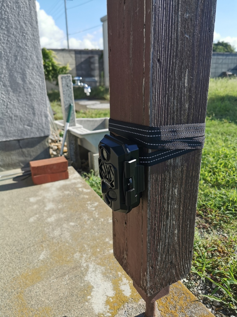 定点観測