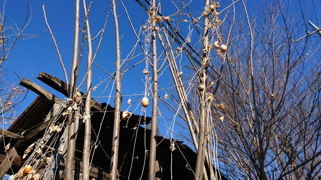 寒風吹き荒ぶ朝