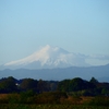 今朝の富士山