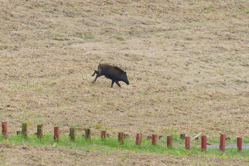 帰ろうとしたら