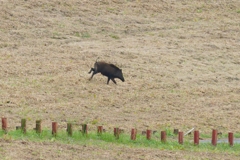 帰ろうとしたら 帰ろうとしたら