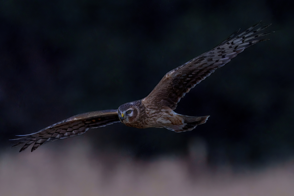 暗くても諦めない