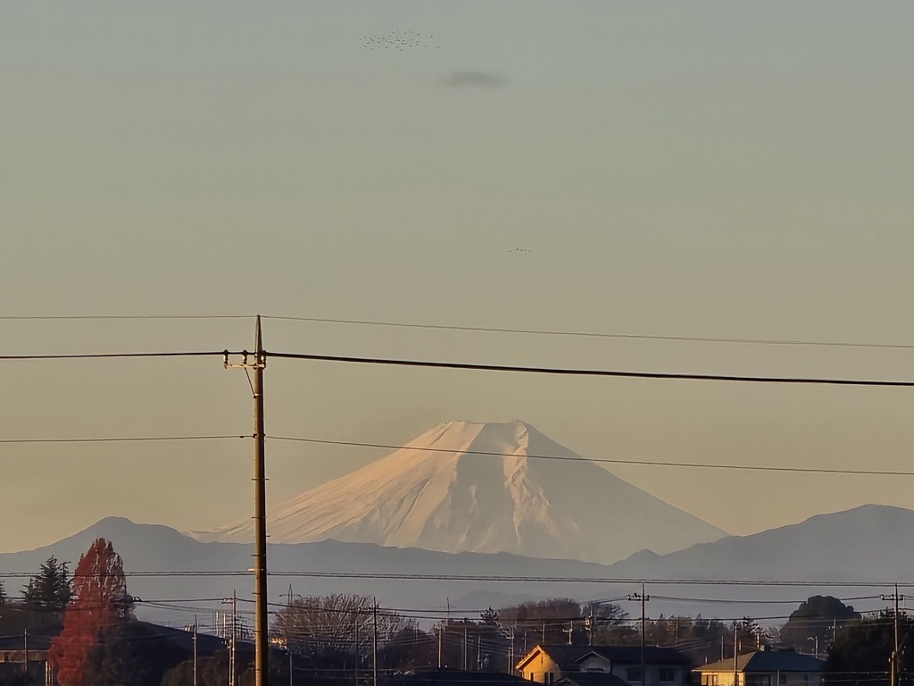 庭から富士山