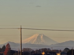 庭から富士山