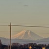 庭から富士山