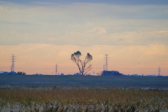遠景