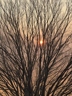 夕陽みたい