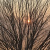 夕陽みたい