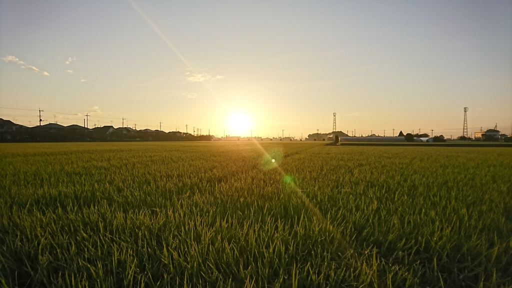 寒い朝