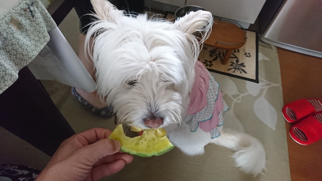 美味しいね！