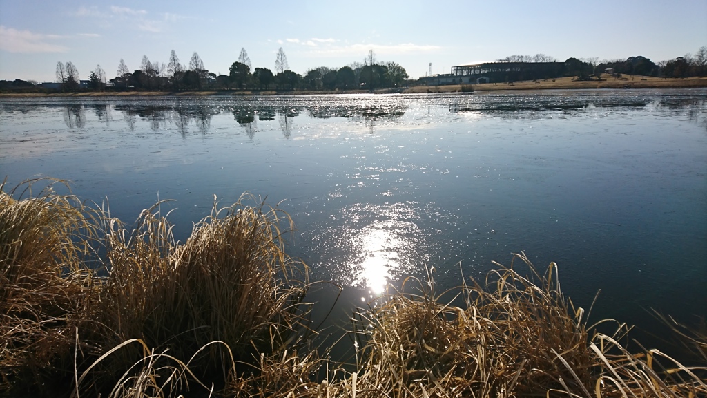 凍える城沼