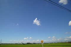 コロナよりショック