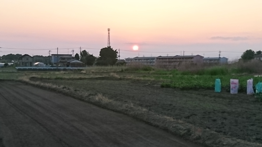 久しぶりの夕陽