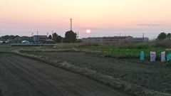 久しぶりの夕陽