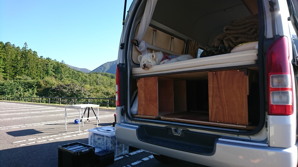 新しいベッドの寝心地は？