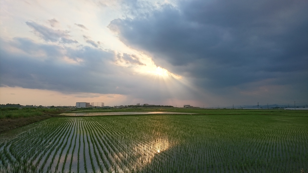 夕立来るかな？