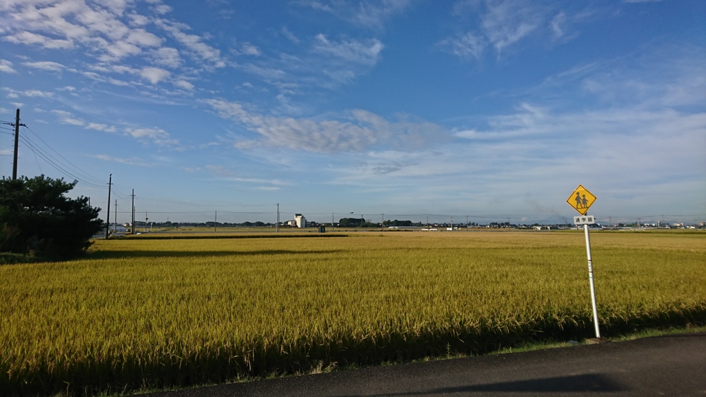 寒い朝
