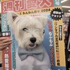 デビュー