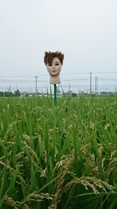 負けないぞ！！
