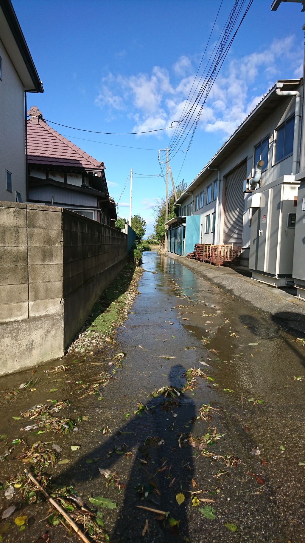 台風19号通過後の朝④