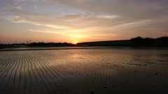 ドラマチックな夕空③