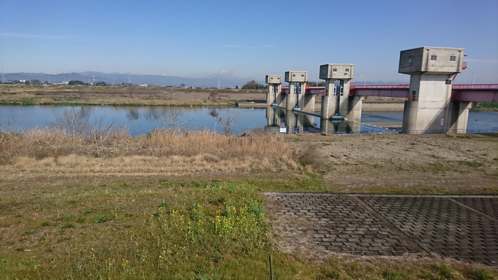 心にも水を溜めましょう、なんちゃって