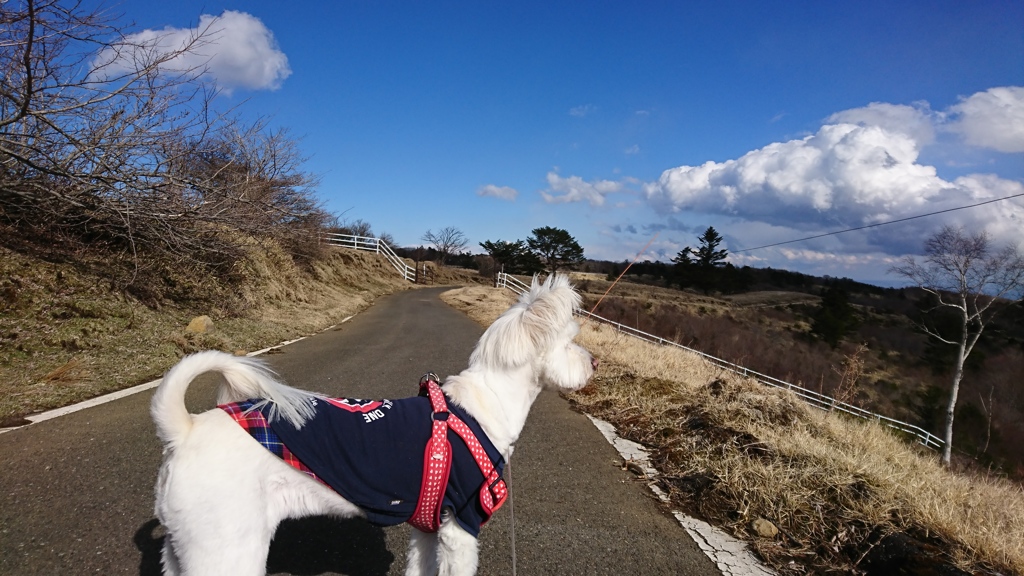 清々しいね！