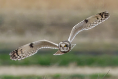 膝の痛みも吹き飛ぶ