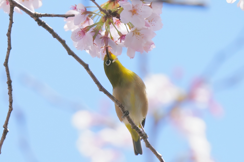 青空にありがとう⑧
