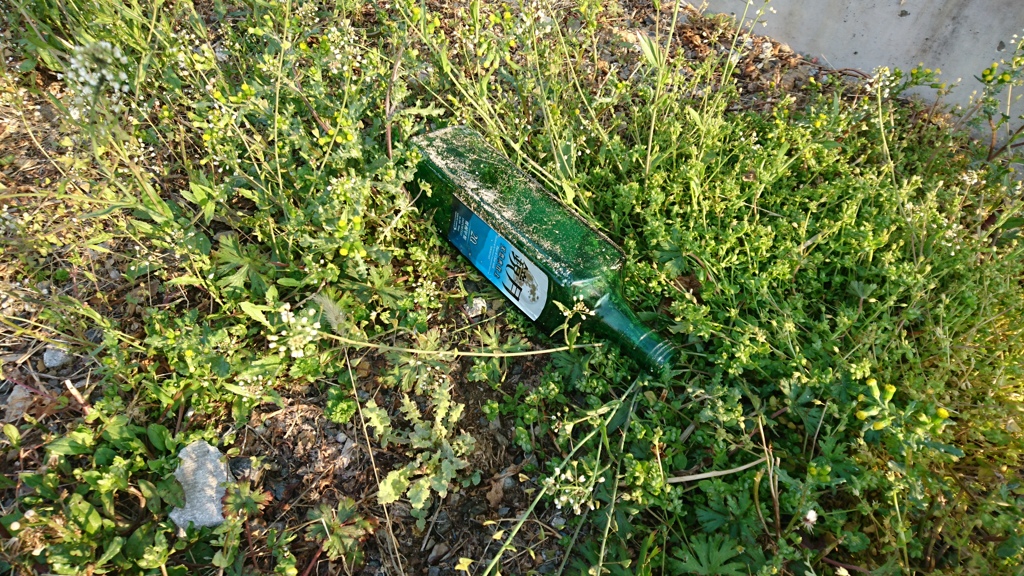 うちは庭で酒盛りはしません