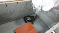 おはよう！