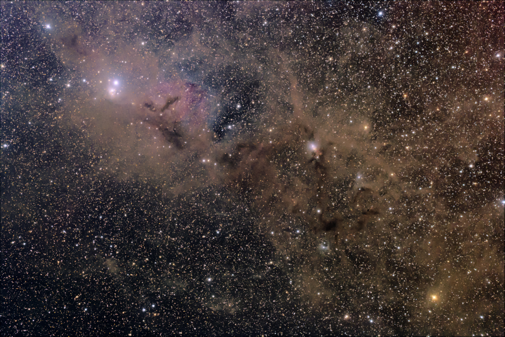 IC348、NGC1333周辺　ペルセウス座