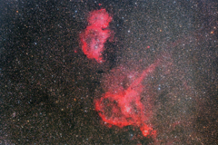 1月21日の胎児＆ハート星雲（周辺部トリミング）