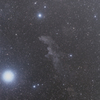 IC2118　魔女の横顔星雲（エリダヌス座）