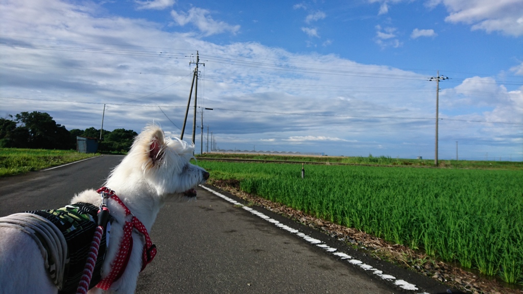 何故限られた地域に集中して降ってしまうのでしょう？