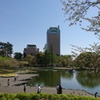 前橋公園 さちの池