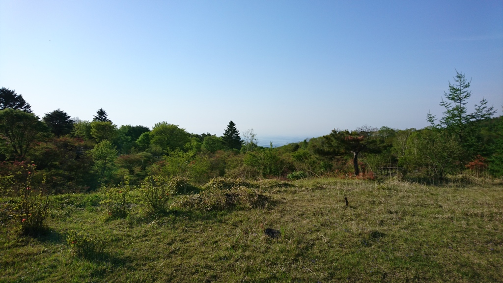 暑過ぎて爽やかではありませんでした