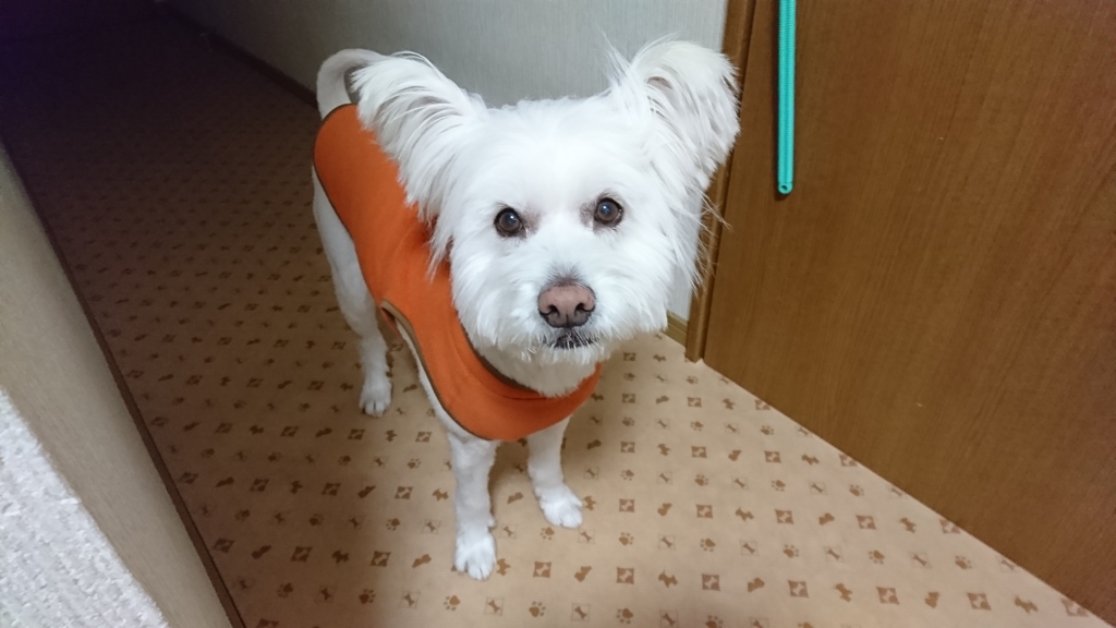 寒くても元気！