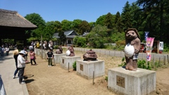 茂林寺と言えばこれかな？
