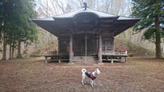 神様どこ？