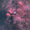 はくちょう座γ星サドル付近の散光星雲