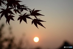 愁