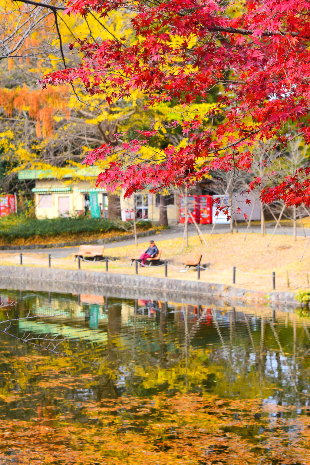 大宮公園にて