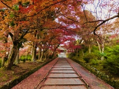 敷紅葉の準備