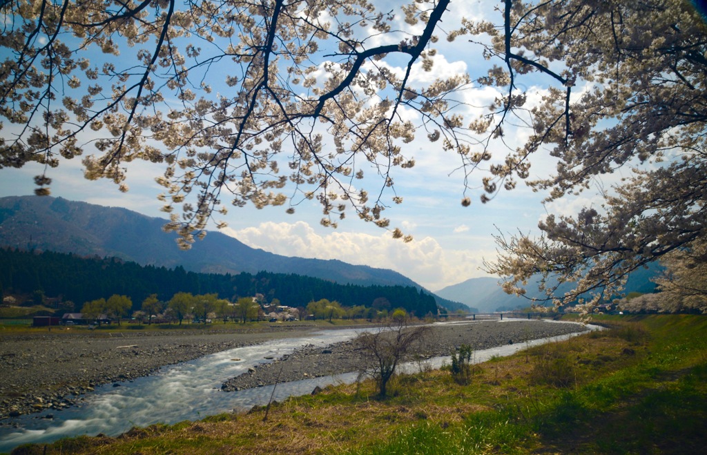 5月