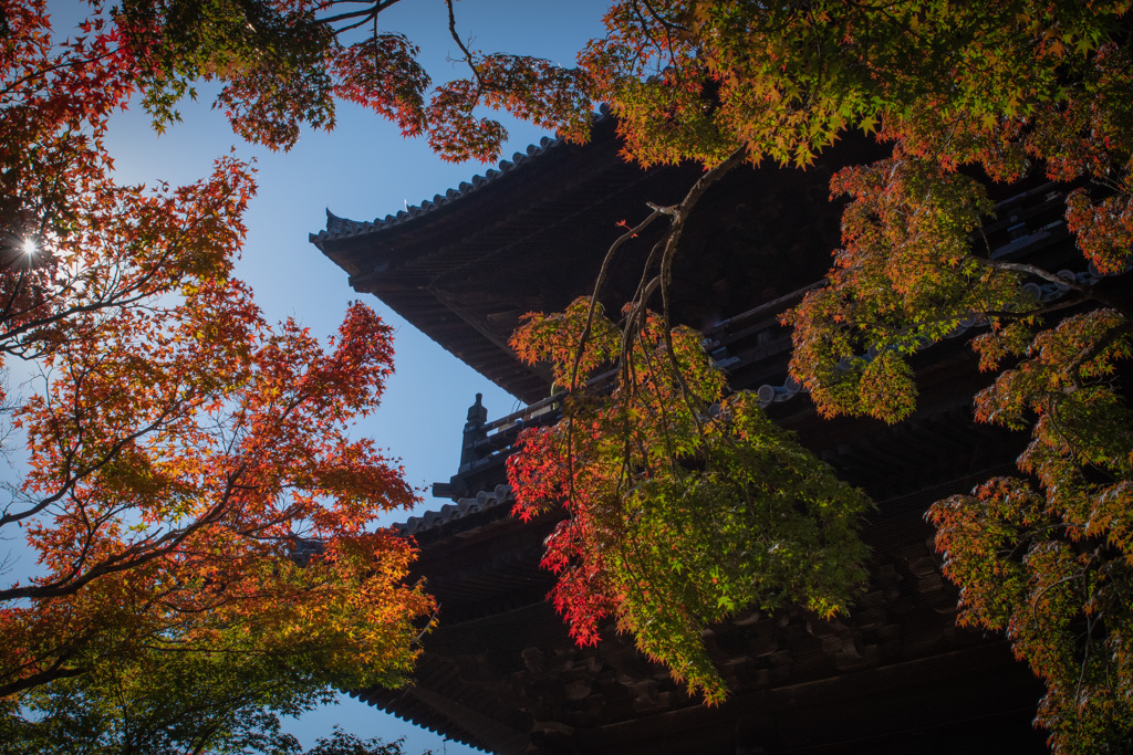 良い空